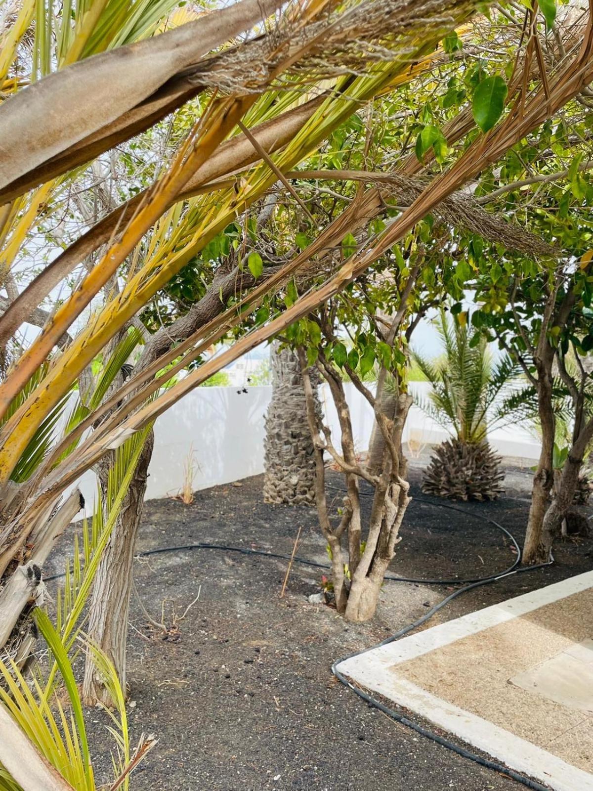 Villa Rosa Puerto del Carmen  Exterior foto